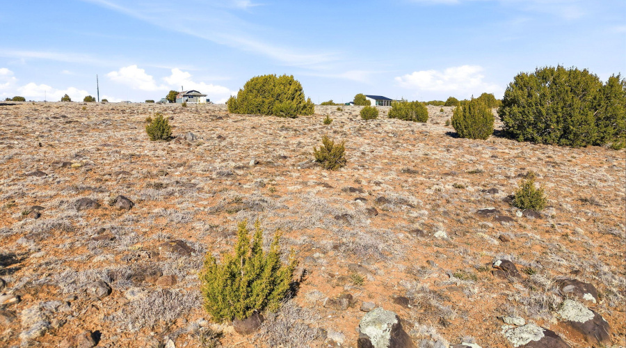 CR8209Parcels-ConchoAZ-19