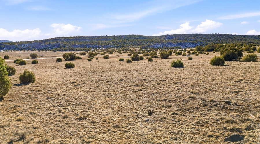 CR8209Parcels-ConchoAZ-20