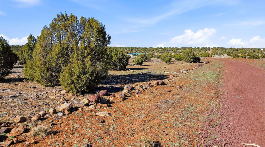 CR8209Parcels-ConchoAZ-3