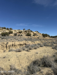 310 County Road 6726, St. Johns, Arizona 85936, ,Land,For Sale,County Road 6726,259487
