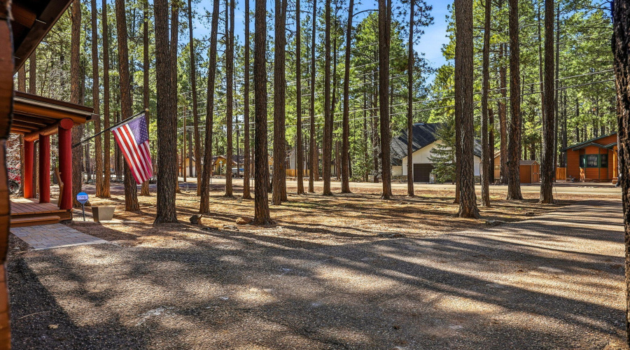 Front driveway