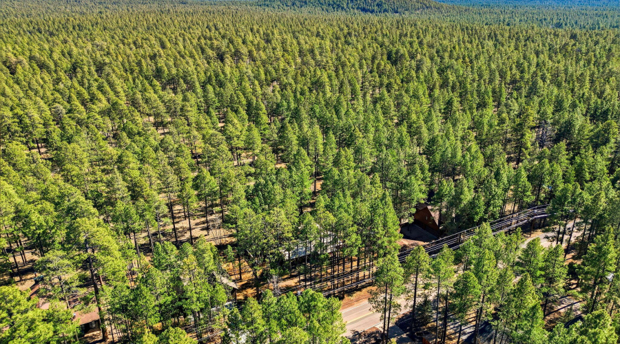 view to USFS