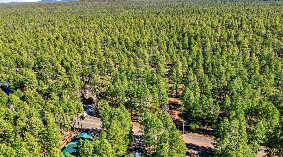 View to USFS