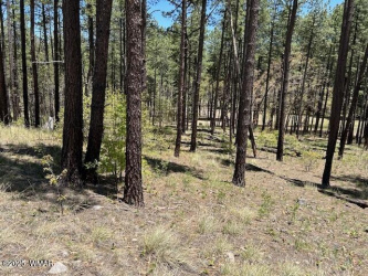 TBD N2122, Alpine, Arizona 85920, ,Land,For Sale,N2122,259511