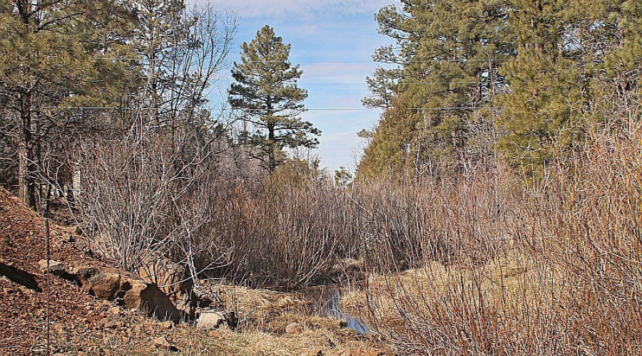 Looking East Southeast down Creek