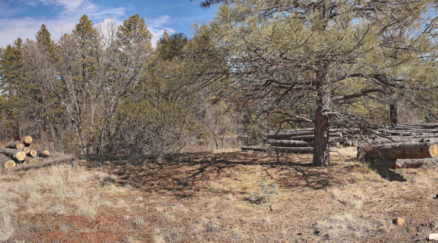 Residential lot and acreage pan