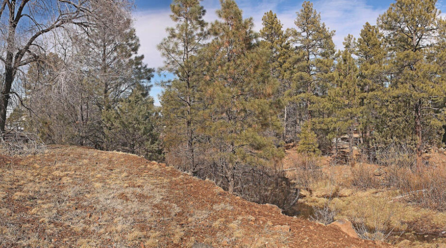 South Side Pan