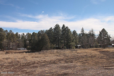21230027B White Mountain Blvd, Lakeside, Arizona 85929, ,Land,For Sale,White Mountain Blvd,259521