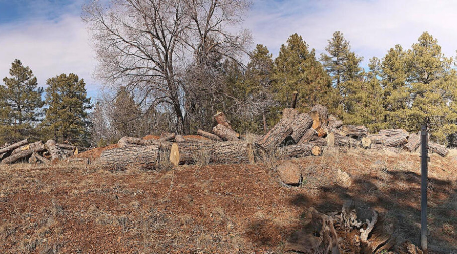 West Property Line Pan