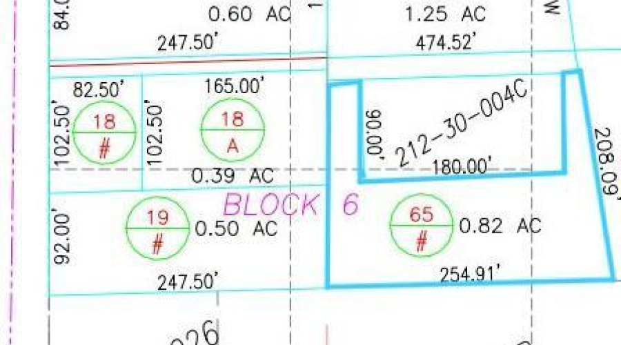 Parcel Plat 212-28-065 highlighted