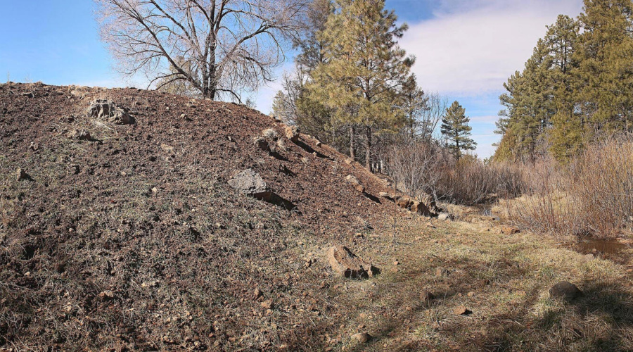 Billy Creek Pan