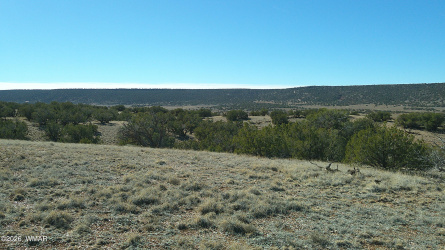 4523 Stirrup Road, Snowflake, Arizona 85937, ,Land,For Sale,Stirrup,259531