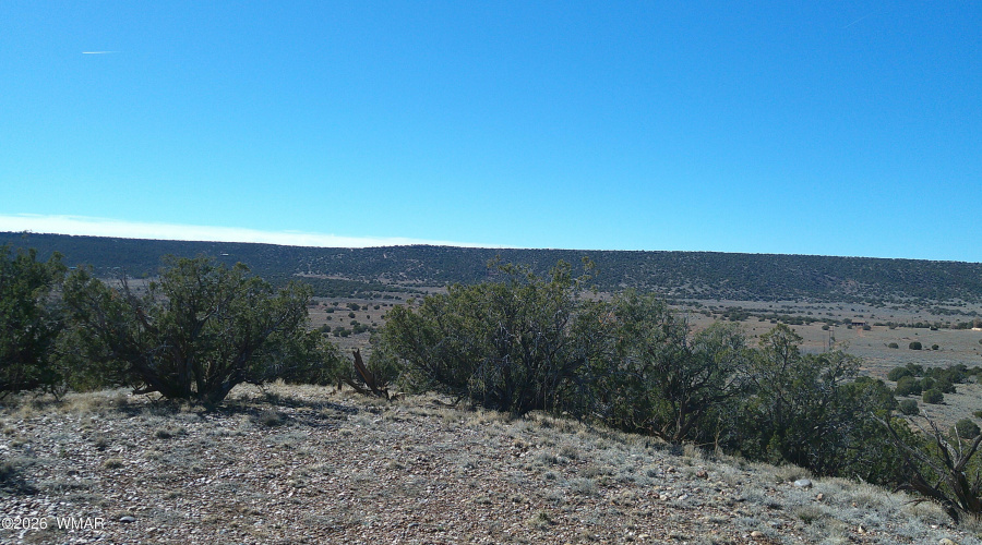 DSCF0018