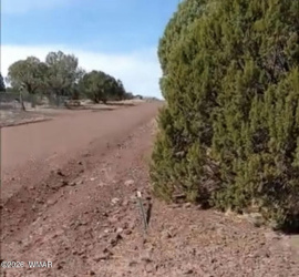 8594 Bobcat Drive, Show Low, Arizona 85901, ,Land,For Sale,Bobcat,259196