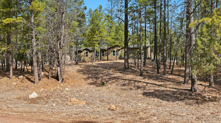 Privacy beautiful lot
