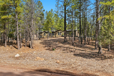 2381 Blue Ridge Drive, Happy Jack, Arizona 86024, Bedrooms, ,Residential,For Sale,Blue Ridge,93420