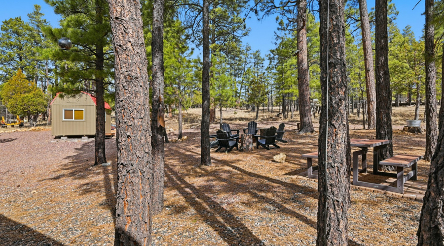 Firepit area backing forest