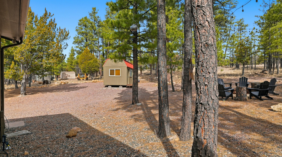 Area backing Forest