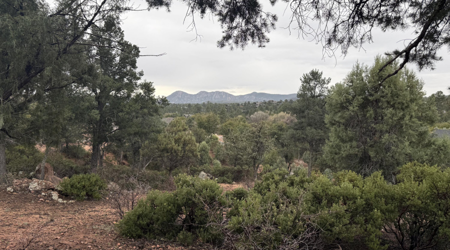 View from the lot