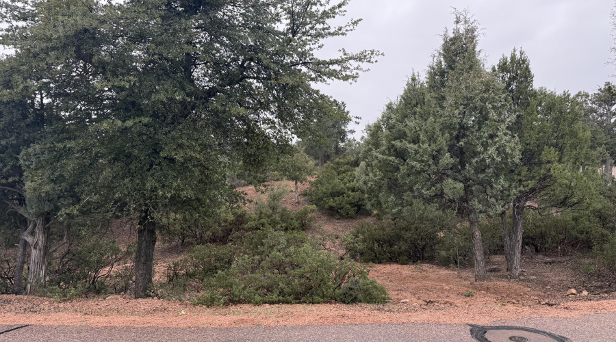 View of the lot