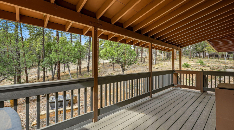 1041WhiteTailDr-ShowLow-AZ-33