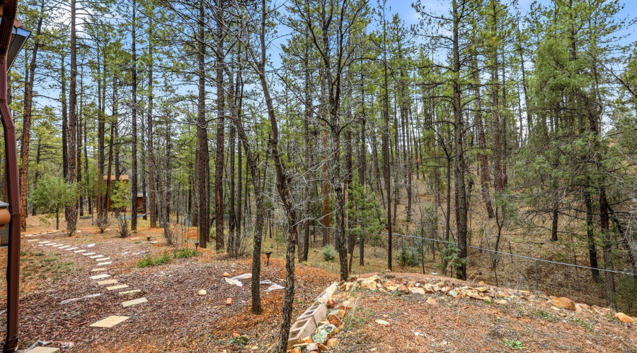 1041WhiteTailDr-ShowLow-AZ-36