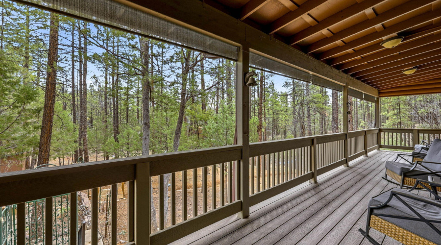 1041WhiteTailDr-ShowLow-AZ-3