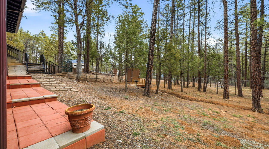1041WhiteTailDr-ShowLow-AZ-4