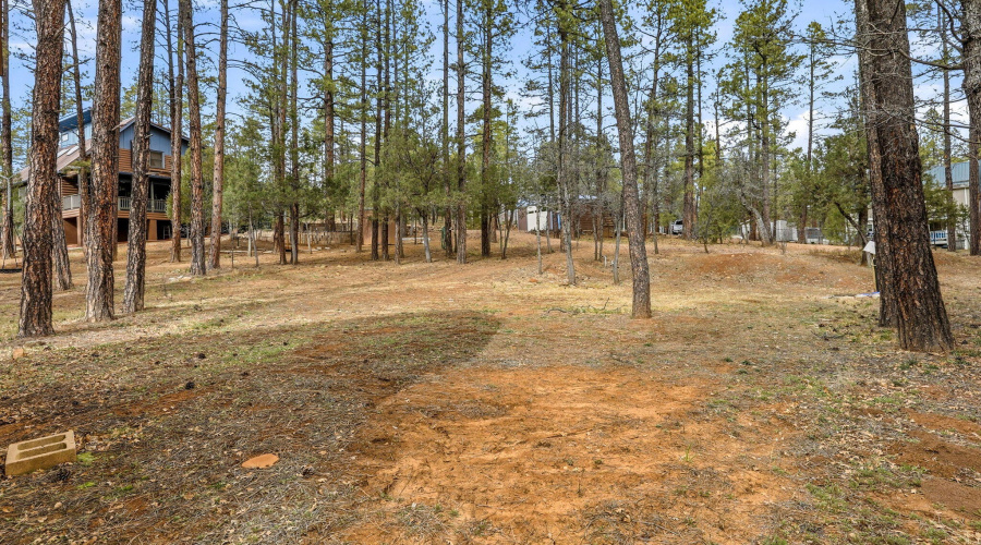 1041WhiteTailDr-ShowLow-AZ-41