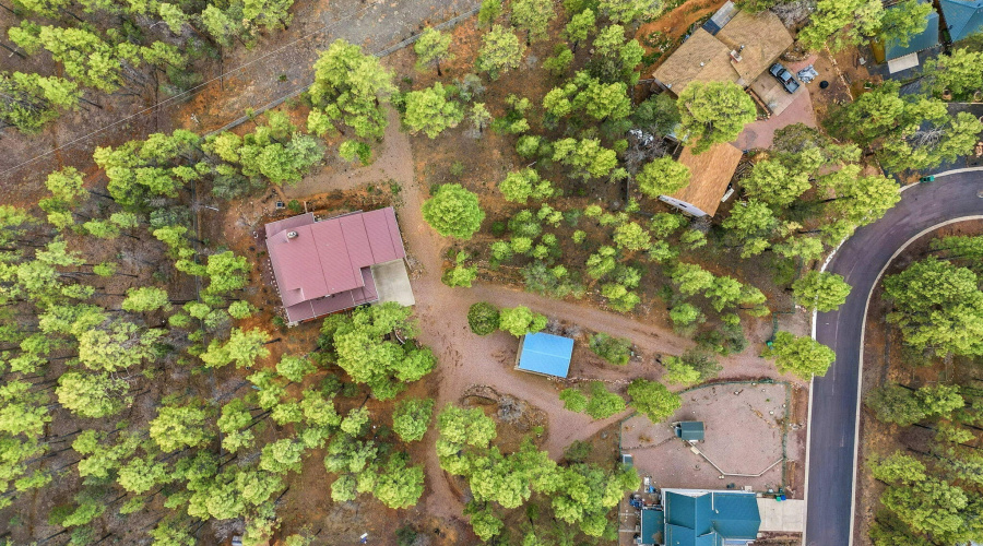 1041WhiteTailDr-ShowLow-AZ-46