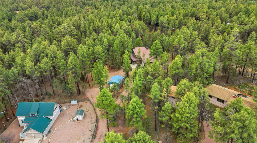 1041WhiteTailDr-ShowLow-AZ-45