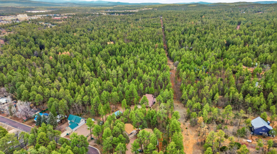 1041WhiteTailDr-ShowLow-AZ-47