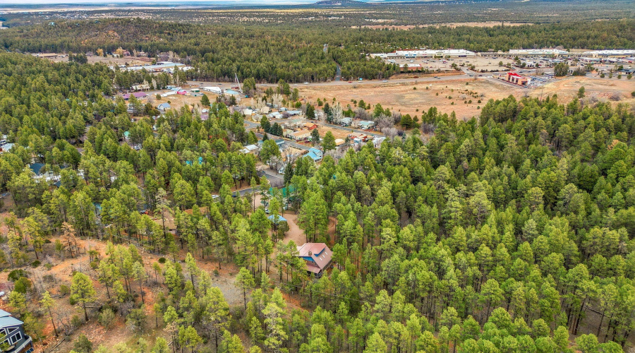 1041WhiteTailDr-ShowLow-AZ-48