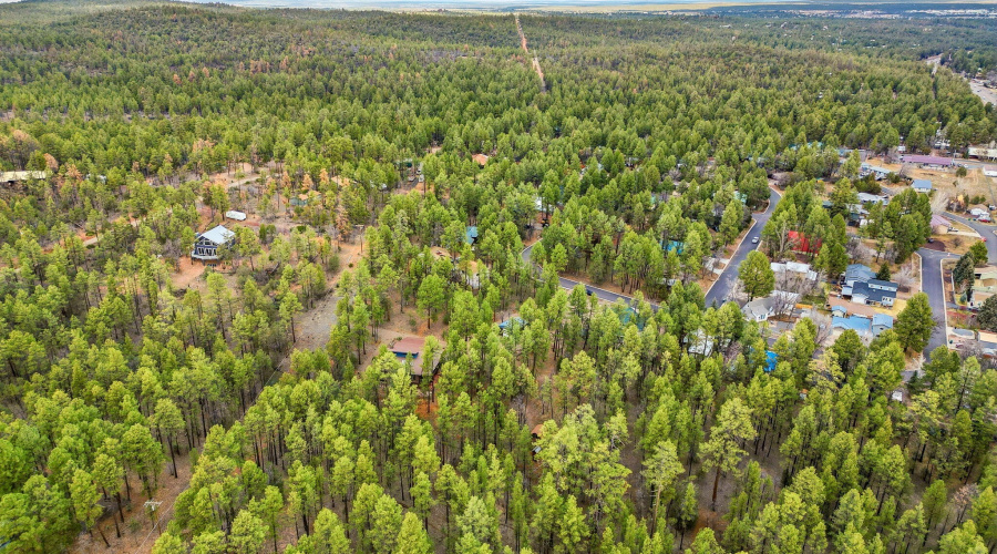 1041WhiteTailDr-ShowLow-AZ-49