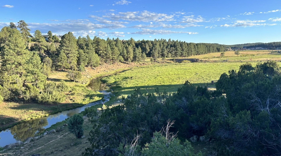 Lovely view of Show Low Meadow