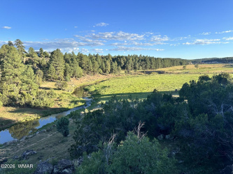 010D OWENS, Show Low, Arizona 85901, ,Land,For Sale,OWENS,259540