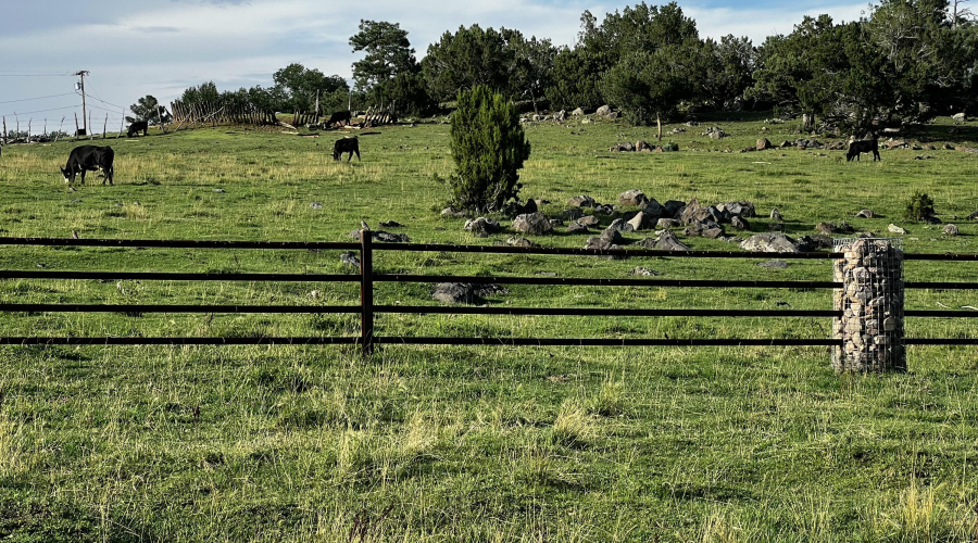 Partially fenced