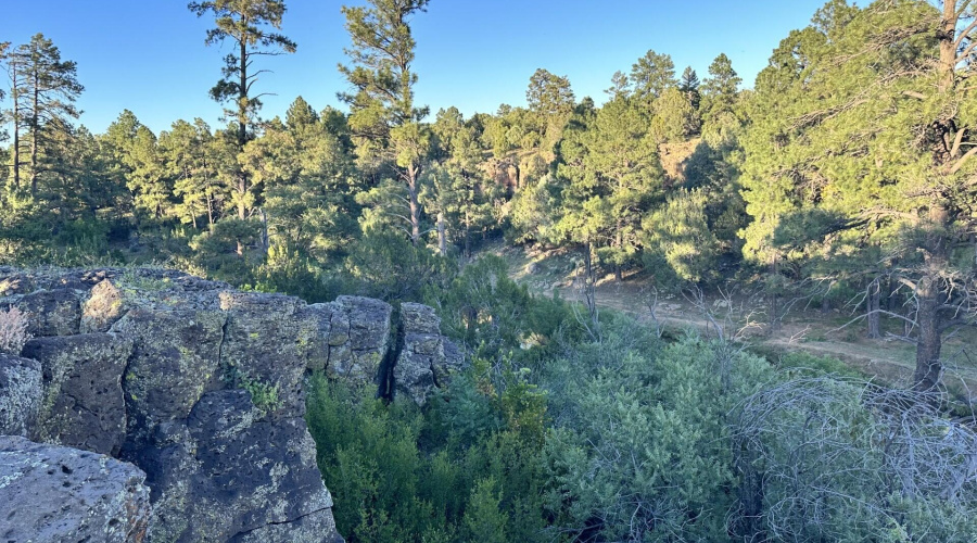 photo of more terrain
