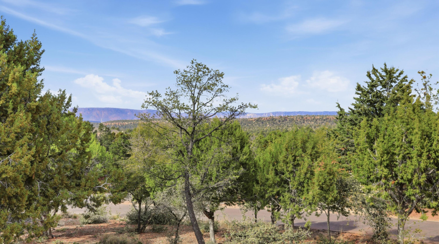 VIEW FROM DECK