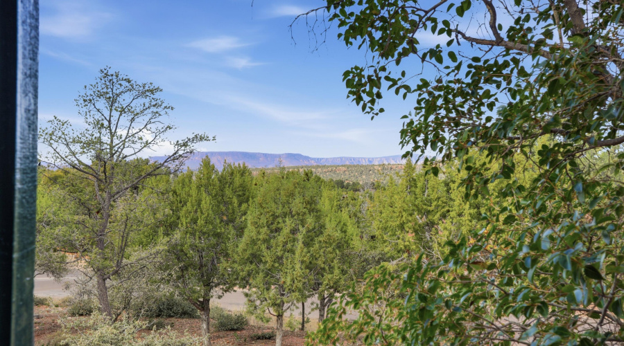 VIEW FROM DECK