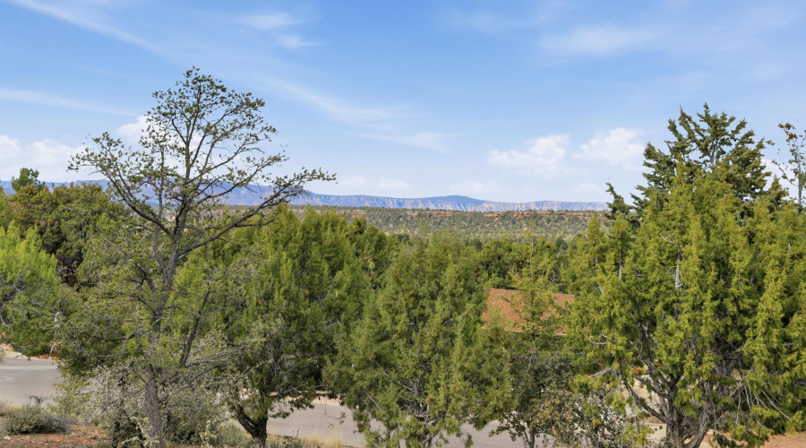 VIEW FROM DECK