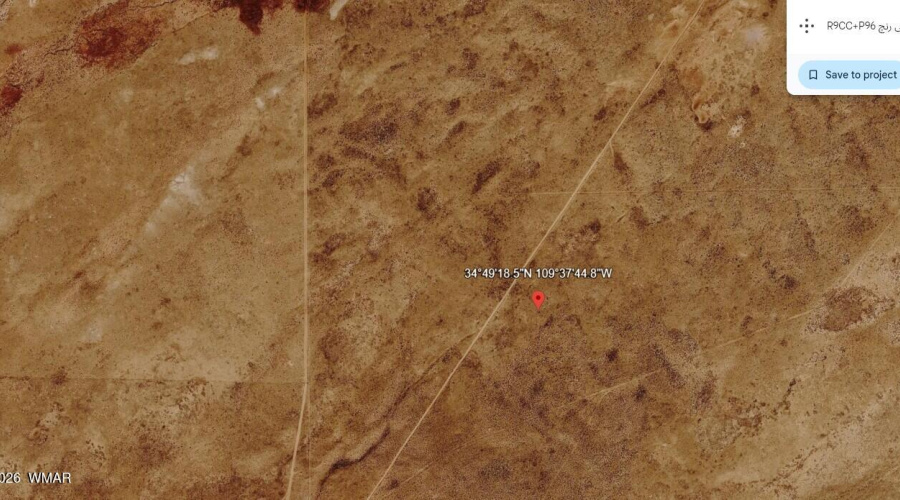 Google Earth
