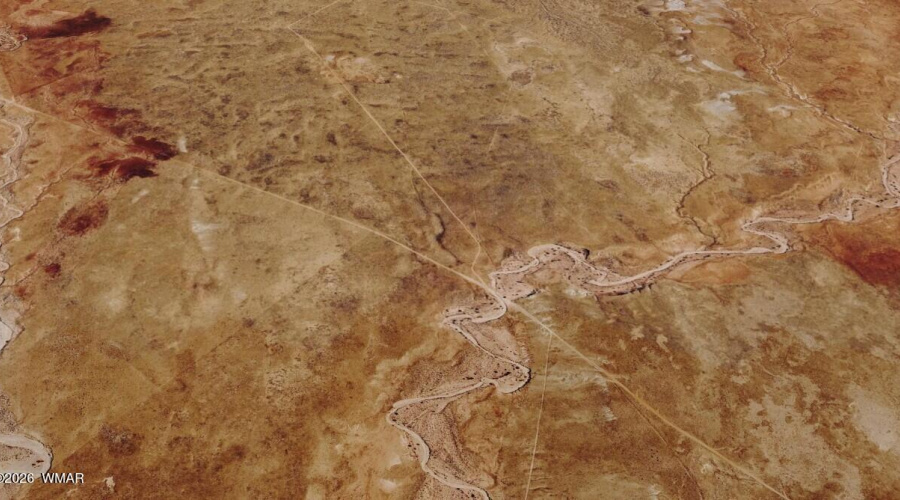 Google Earth