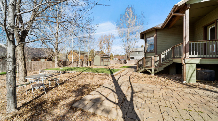 Back Yard