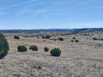 1221 Farmhouse Drive, Taylor, Arizona 85939, ,Land,For Sale,Farmhouse,259547