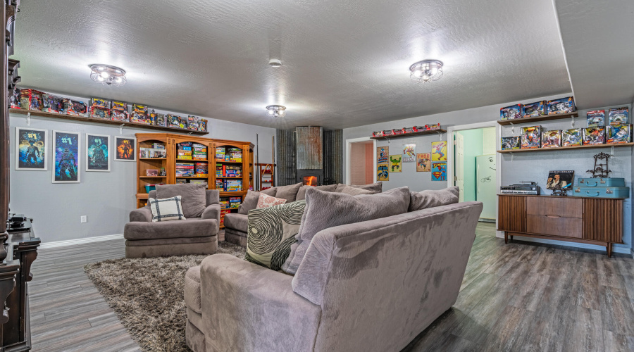 Basement Living