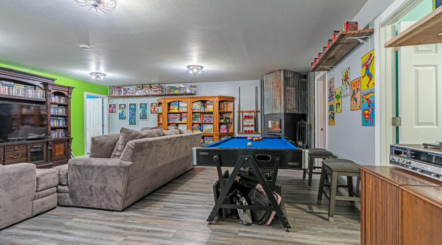 Basement Living