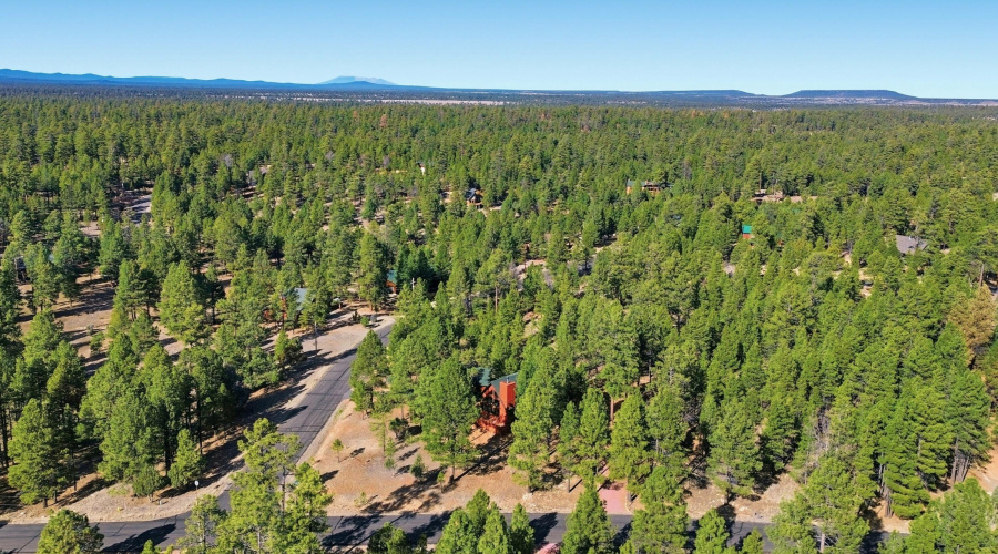 41_039_dji_0559