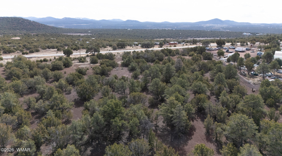DJI_20260212124430_0006_D