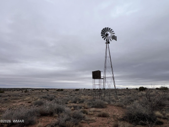 9594 Buckskin Trail, Snowflake, Arizona 85937, ,Land,For Sale,Buckskin,259576